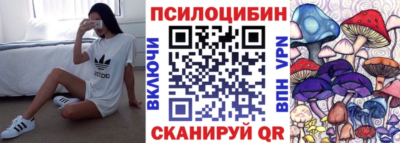 гидра ссылка  Кимры  darknet как зайти  Галлюциногенные грибы MAGIC MUSHROOMS 