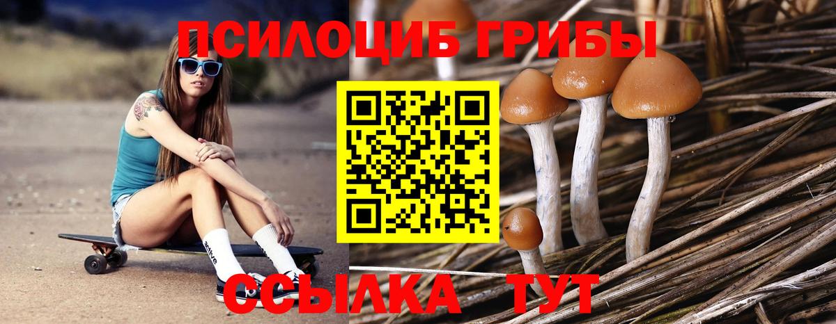 Псилоцибиновые грибы мицелий  Вход с VPN  Кимры 