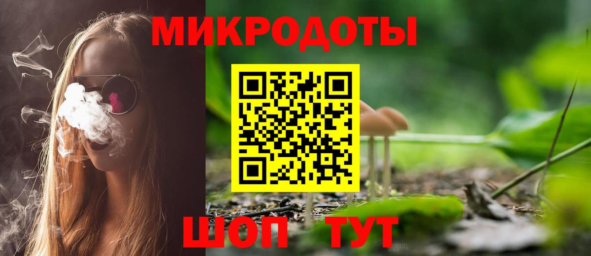 Псилоцибиновые грибы Psilocybe Кимры